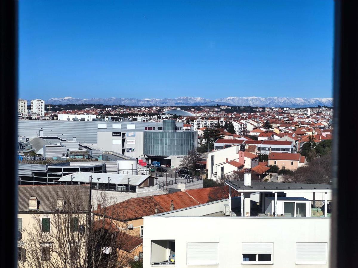Diva * Zadar